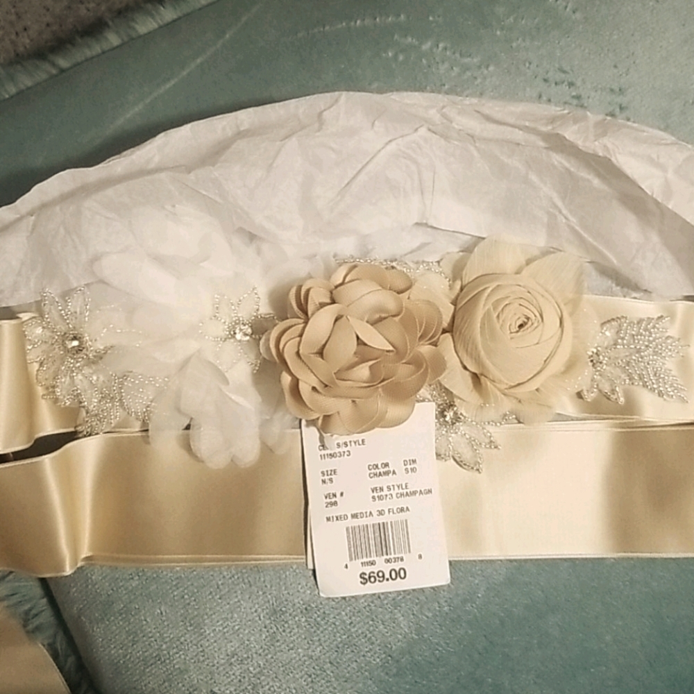 NWT David's Bridal champagne sash. OFFERS …